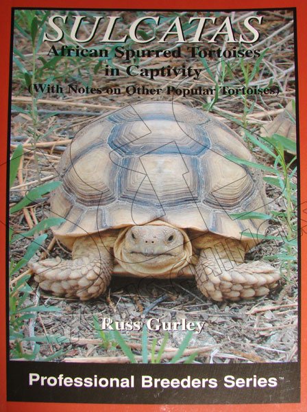 Sulcatas: African Spurred Tortoises in Captivity - Click Image to Close