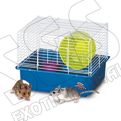MY FIRST HAMSTER HOME/1 STORY - Click Image to Close