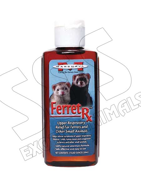FERRET RX UPPER RESPIRATORY - Click Image to Close