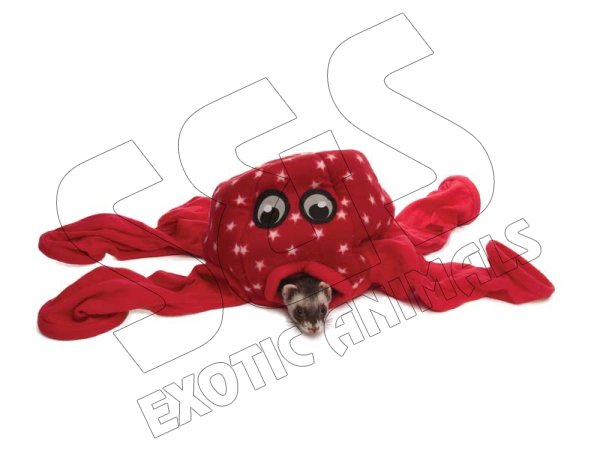 OCTO-PLAY FERRET TOY - Click Image to Close