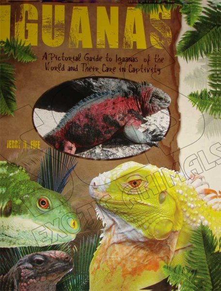 Iguanas (A Pictorial Guide to Iguanas of the World and Their Car - Click Image to Close
