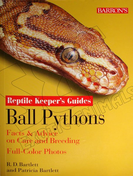 Ball Pythons - Click Image to Close