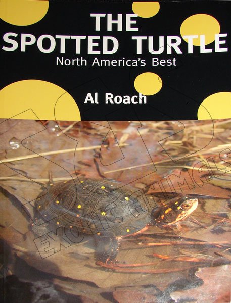 The Spotted Turtle - Click Image to Close
