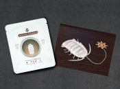 Isopod Oolong Tea ( Oriental Beauty )