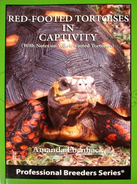 Red-Footed Tortoises In Captivity - Click Image to Close