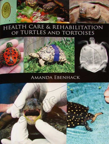Health Care & Rehabilitation of Turtles and Tortoises - Click Image to Close