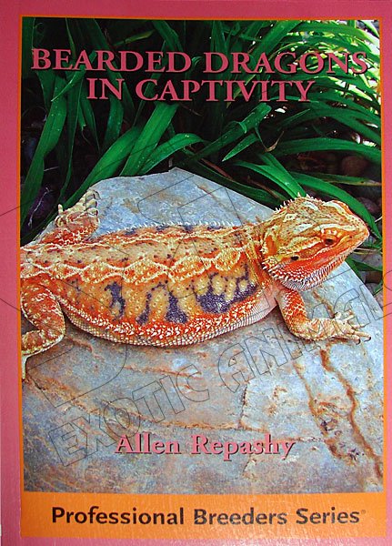 Bearded Dragons in Captivity - Click Image to Close