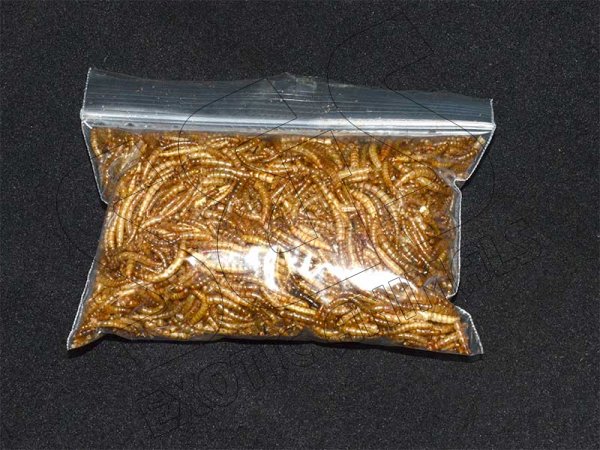 Freeze Dried Mealworms - Click Image to Close