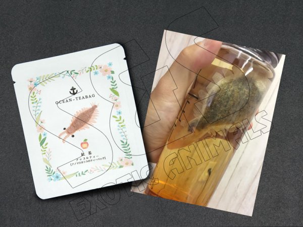 Anomalocaris Black Tea with Apple - Click Image to Close