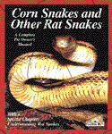 CORN SNAKES AND RAT SNAKES - Click Image to Close