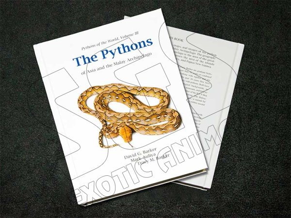 Pythons of the World, Volume III - Click Image to Close