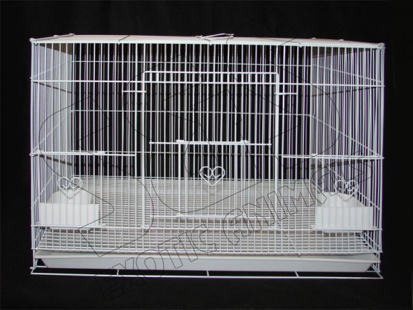 Our Baby/Travel Cage - Click Image to Close