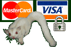 Credit Cards