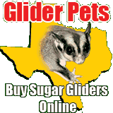 Glider Pets Link
