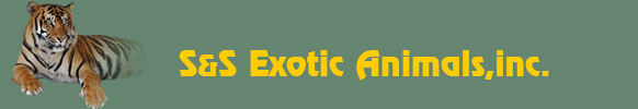 S&S Exotic Animals,inc.