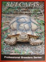 Sulcatas: African Spurred Tortoises in Captivity