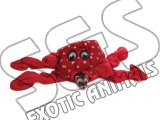 OCTO-PLAY FERRET TOY
