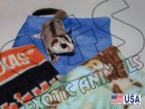 Suggie Sleepy Blankies